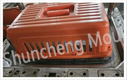 Pets Carrier Plastic Injection Mould And Injection Molding